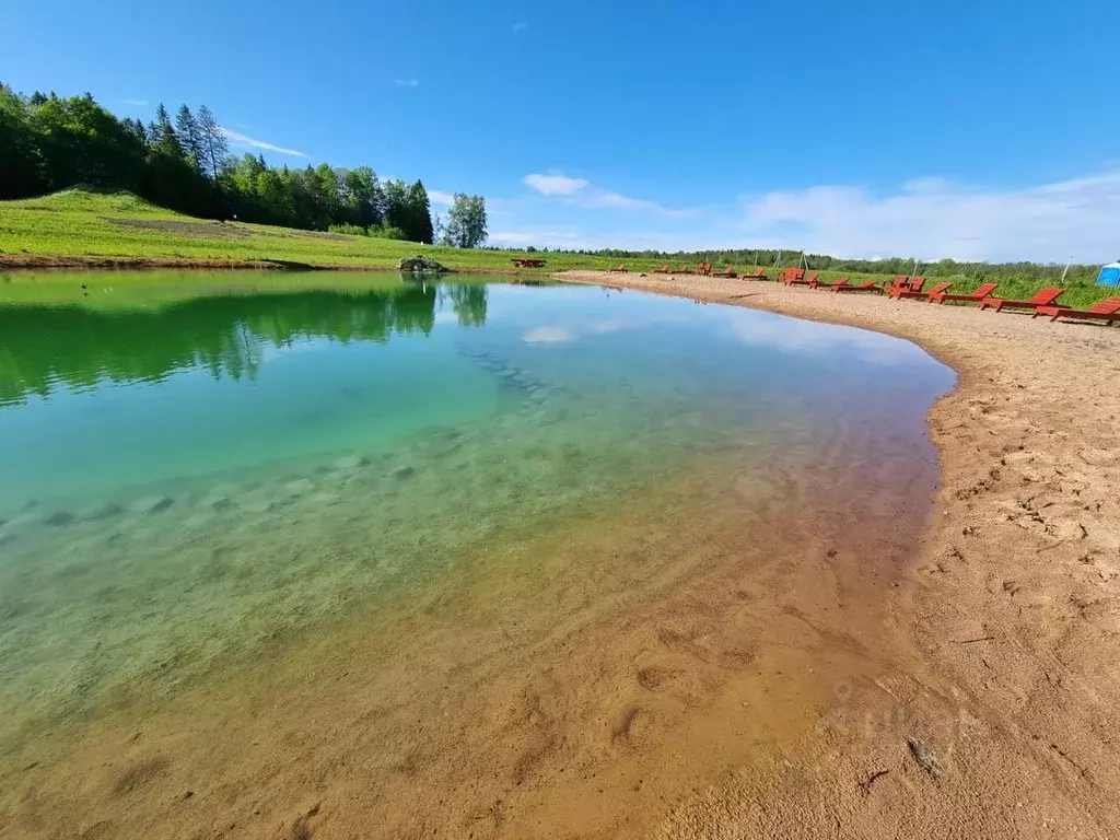 Участок в Ленинградская область, Ломоносовский район, Лопухинское ... - Фото 0