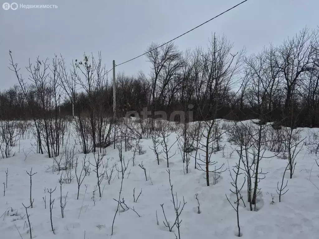 Участок в Борисоглебск, Придорожная улица (6.43 м) - Фото 2