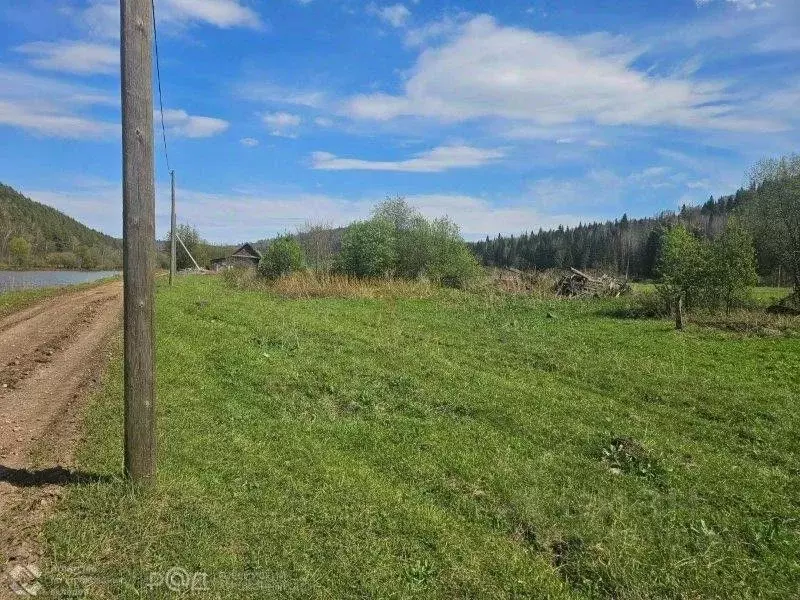 Участок в Башкортостан, Караидельский район, Новобердяшский сельсовет, ... - Фото 2