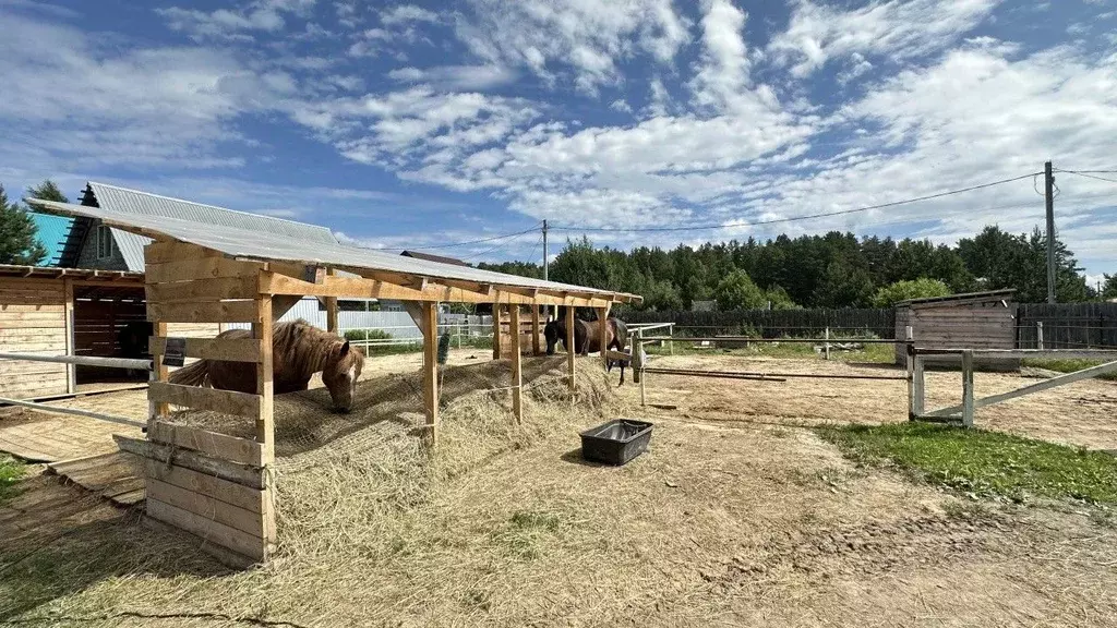 Участок в Свердловская область, Екатеринбург муниципальное ... - Фото 2