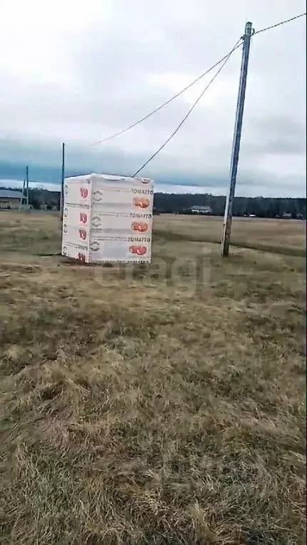Участок в Новосибирская область, Ордынский район, д. Новый Шарап ... - Фото 0