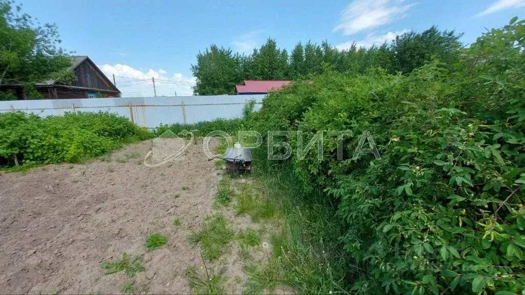 Участок в Тюменская область, Тюменский район, с. Борки  (7.0 сот.) - Фото 0