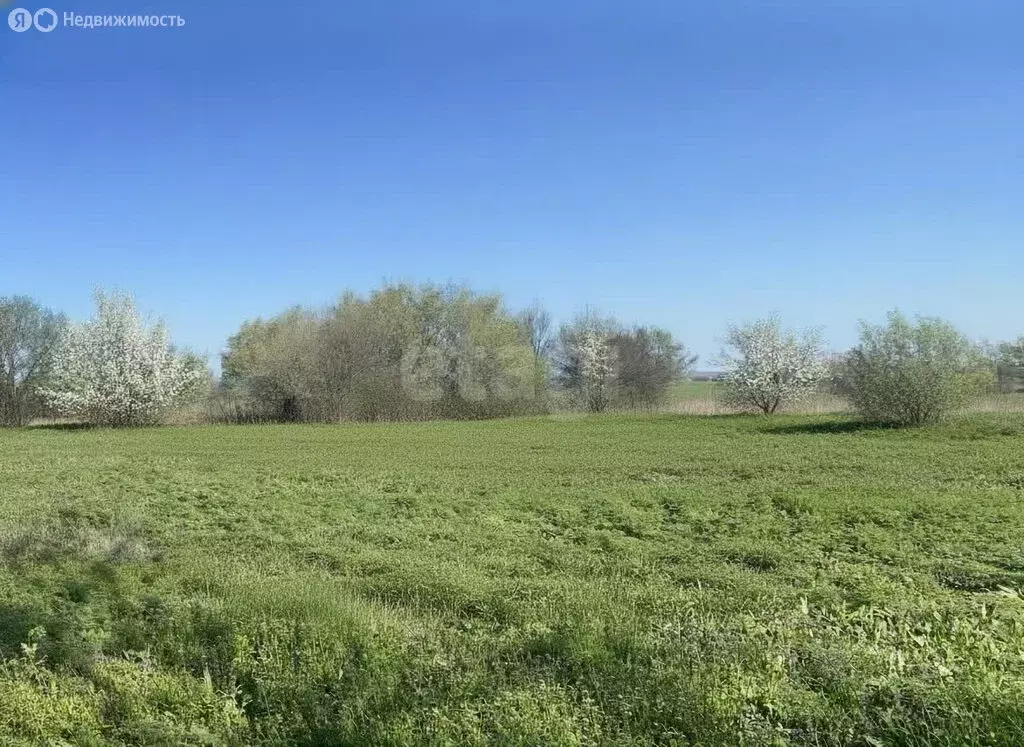 Участок в хутор Калинин, Песчаный переулок (10 м) - Фото 2