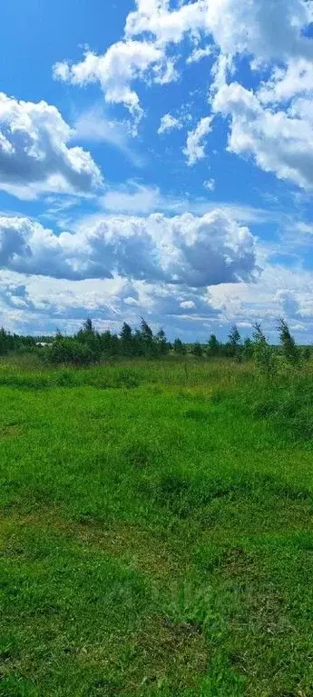 Участок в Московская область, Раменский муниципальный округ, 36 кв-л 3 ... - Фото 2