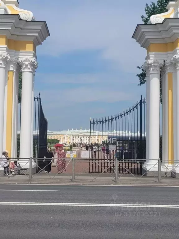Участок в Санкт-Петербург, Санкт-Петербург, Петергоф Калининская ул., ... - Фото 0