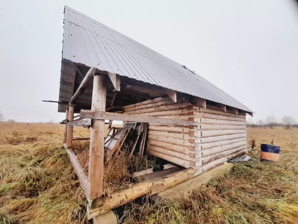 Участок в Новгородская область, Новгородский район, Трубичинское ... - Фото 1