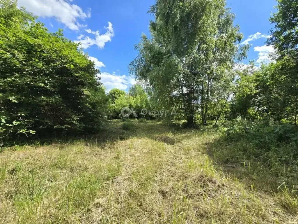 Участок в Московская область, Богородский городской округ, с. ... - Фото 2