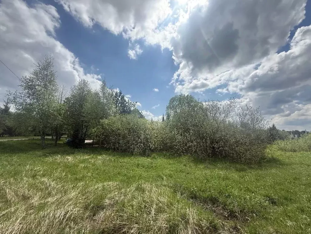 Участок в Московская область, Подольск городской округ, д. Никулино 28 ... - Фото 2