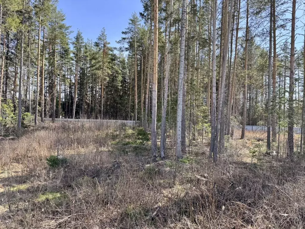 Участок в Свердловская область, Ревда Рябиновая ул. (12.0 сот.) - Фото 1