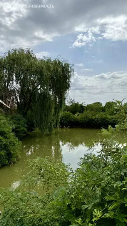Участок в Прикубанский, Казачья улица, 3 (32 м) - Фото 0