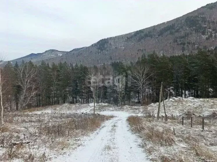 Участок в Алтай, Майминский район, Манжерокское с/пос, с. Озерное ул. ... - Фото 1