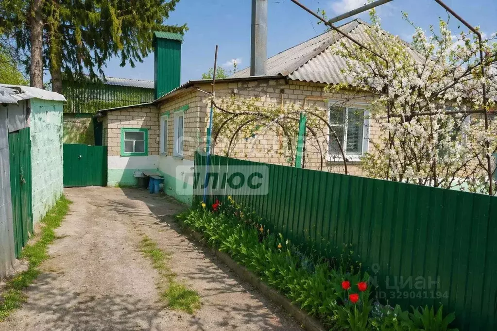 Дом в Курская область, Черемисиново рп ул. 1-я Полевая (65 м) - Фото 1