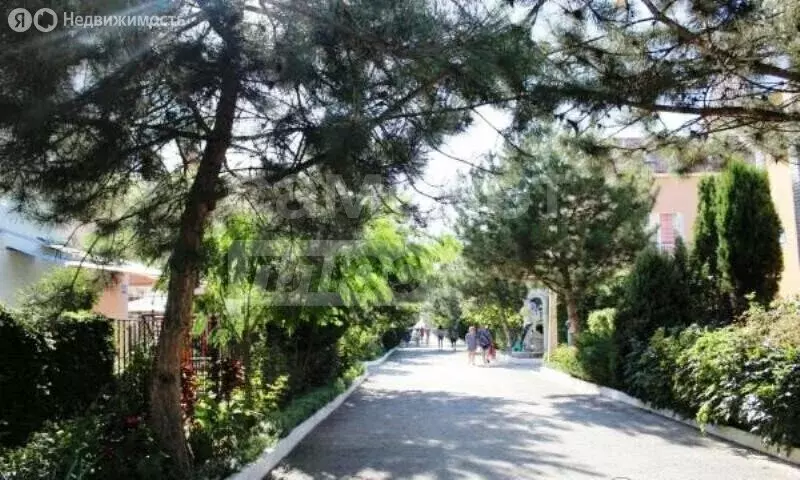Квартира-студия: Николаевка, Чудесная улица, 2 (20 м) - Фото 2
