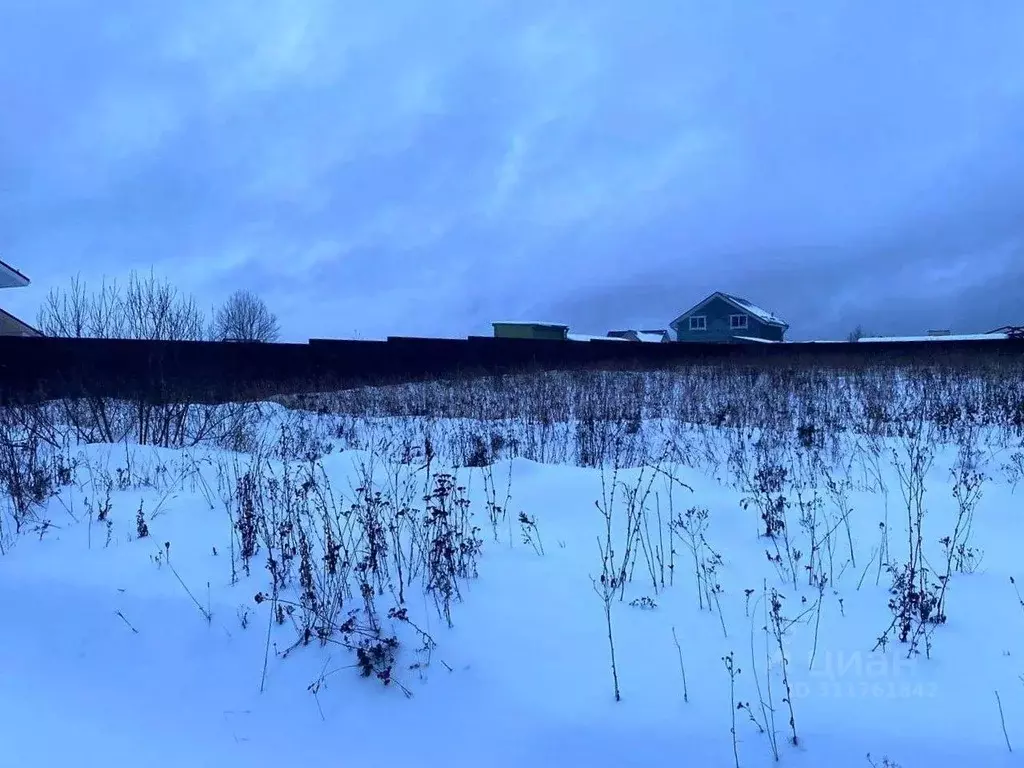 Участок в Московская область, Пушкинский городской округ, д. Василево  ... - Фото 0