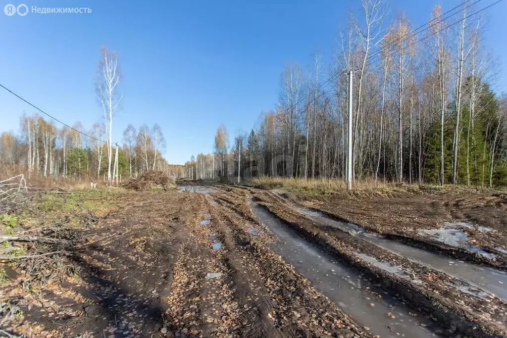 Участок в Тобольск, микрорайон Усадьба (9.96 м) - Фото 2