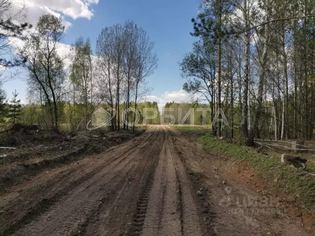 Участок в Тюменская область, Нижнетавдинский район, с. Тюнево  (8.75 ... - Фото 0