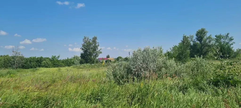 Участок в Самарская область, Волжский район, Воскресенка с/пос, пос. ... - Фото 2