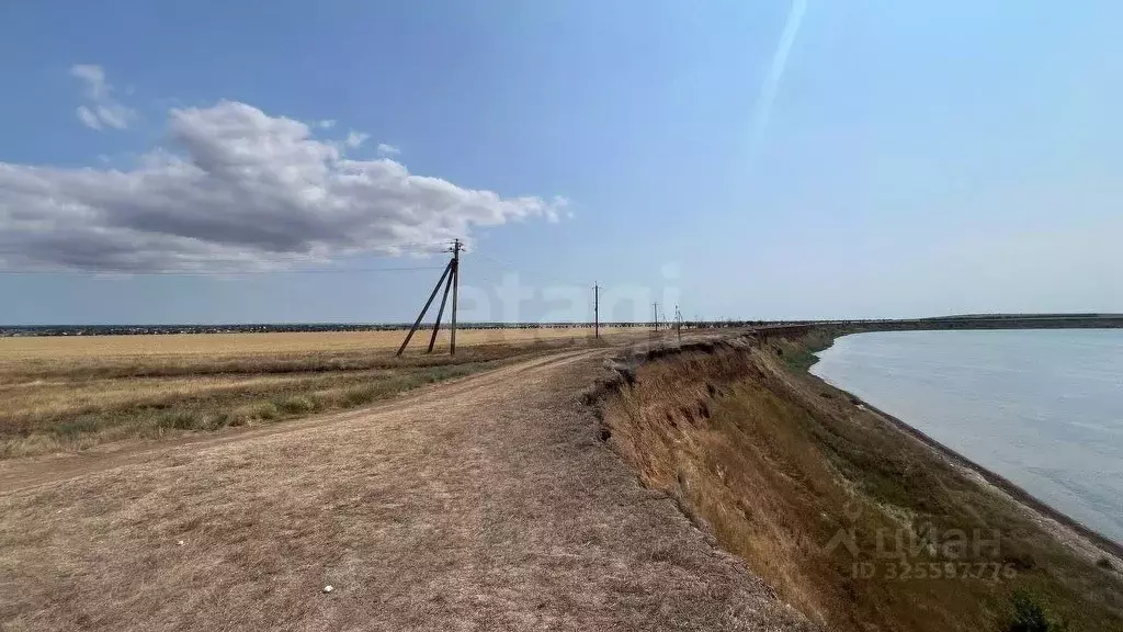 Участок в Крым, Ленинский район, с. Калиновка ул. Садовая (452.0 сот.) - Фото 1