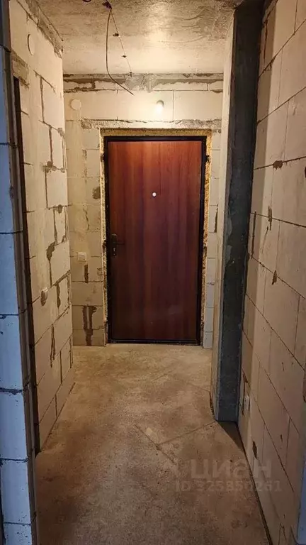 Студия Ленинградская область, Мурино Всеволожский район, ул. Шоссе в ... - Фото 2