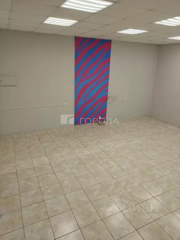 Помещение свободного назначения в Новосибирская область, Новосибирск ... - Фото 1