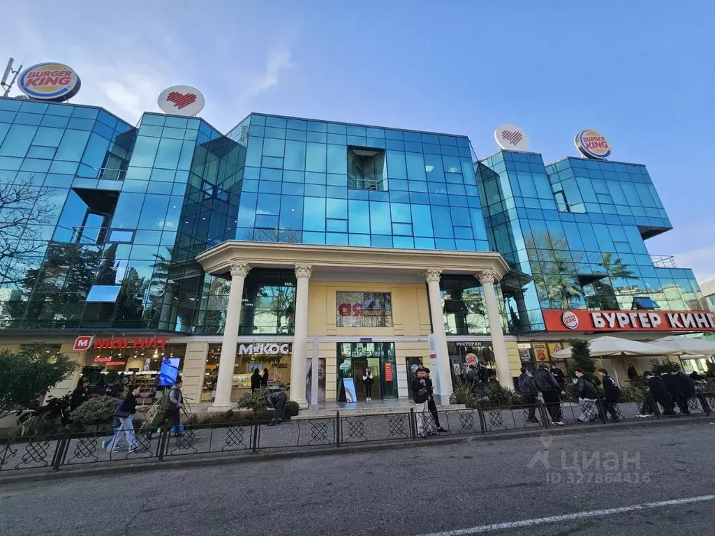 Офис в Краснодарский край, Сочи Центральный мкр, ул. Навагинская, 13 ... - Фото 1