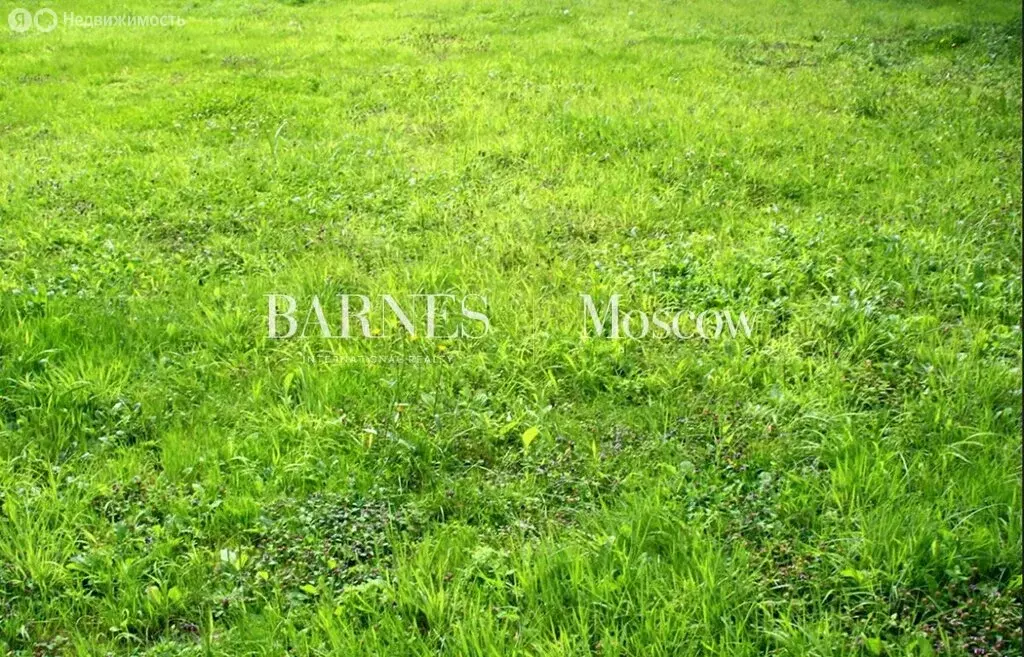 Участок в Одинцовский городской округ, деревня Бородки (22 м) - Фото 1