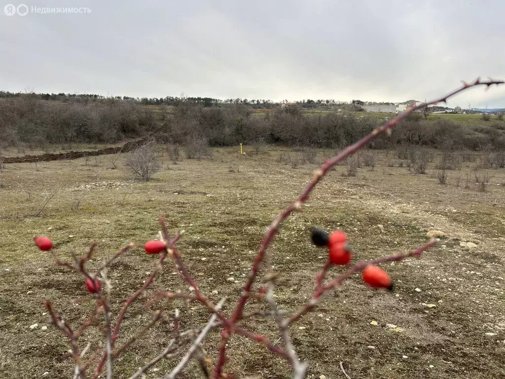 Участок в Пионерское, улица Хаджи Фазыл (7.5 м) - Фото 1