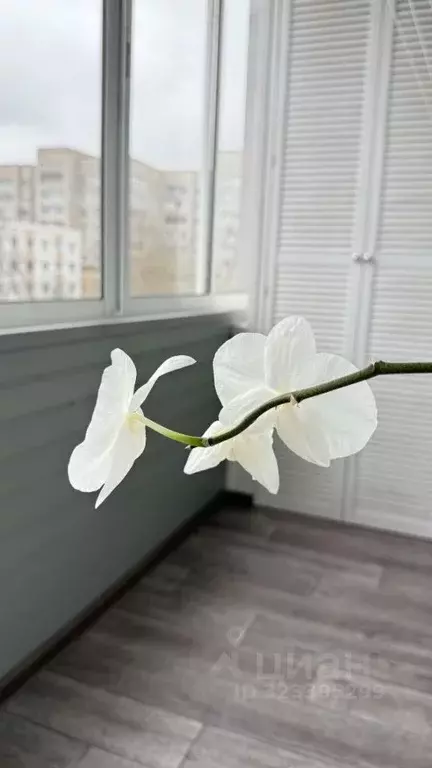 4-к кв. Татарстан, Нижнекамск ул. Бызова, 22А (74.0 м) - Фото 1