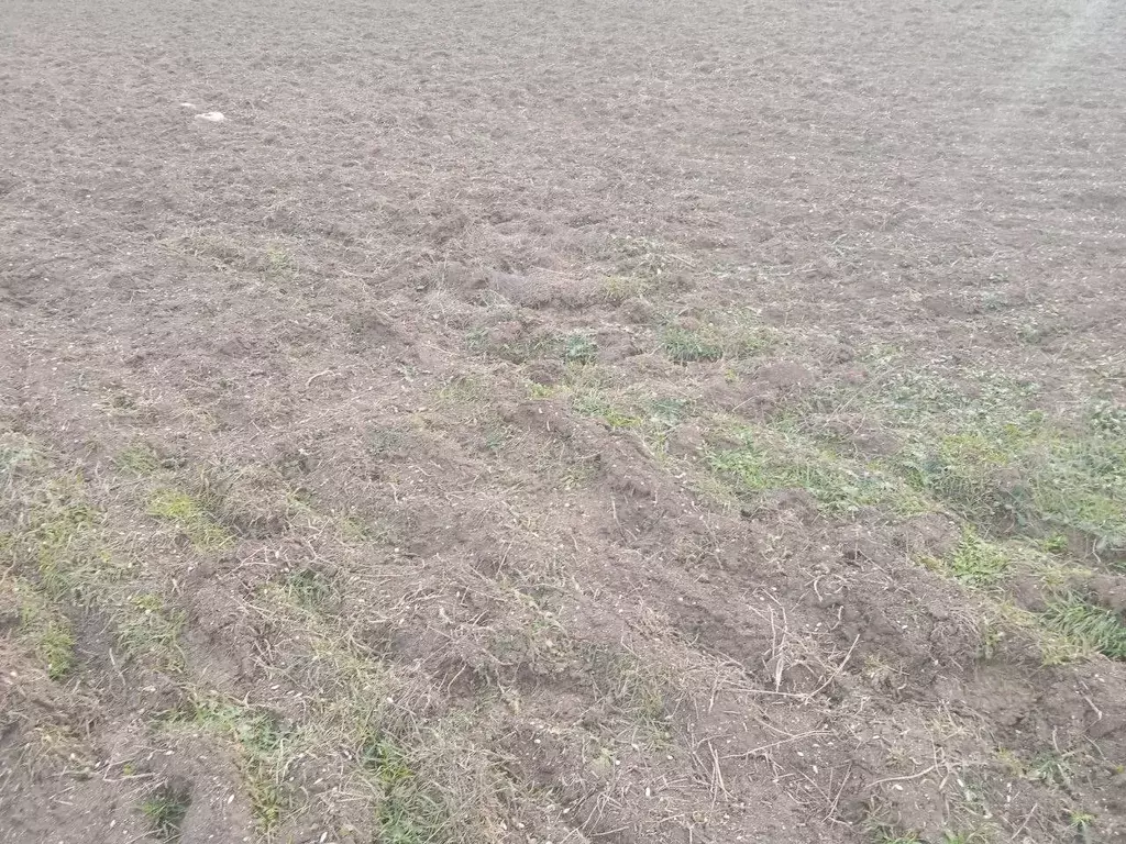 Участок в Крым, Бахчисарайский район, Куйбышевское с/пос, с. Танковое ... - Фото 1