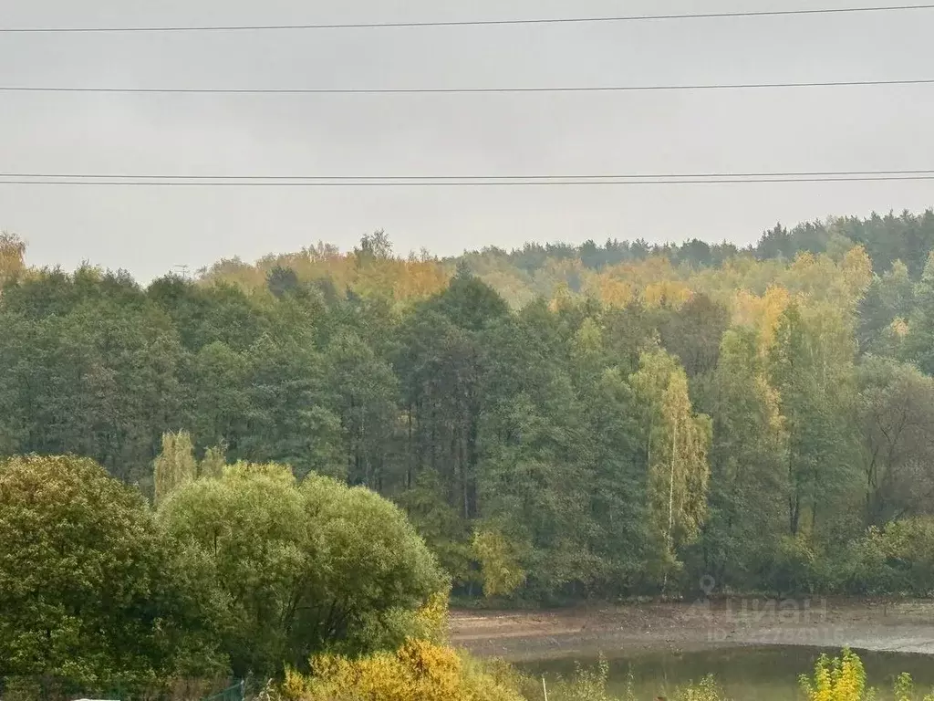 Торговая площадь в Московская область, Ленинский городской округ, д. ... - Фото 1
