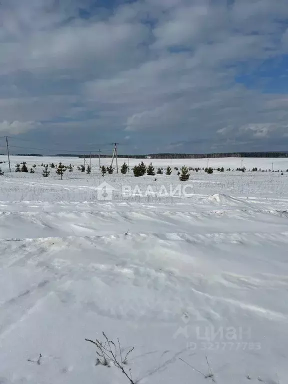 Участок в Иркутская область, Иркутский муниципальный округ, д. Ширяева ... - Фото 2