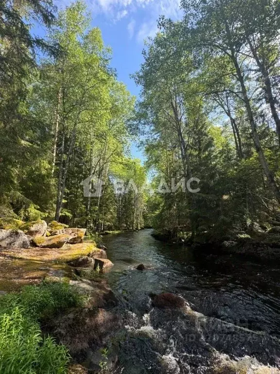Участок в Ленинградская область, Выборгский район, Гончаровское с/пос, ... - Фото 1