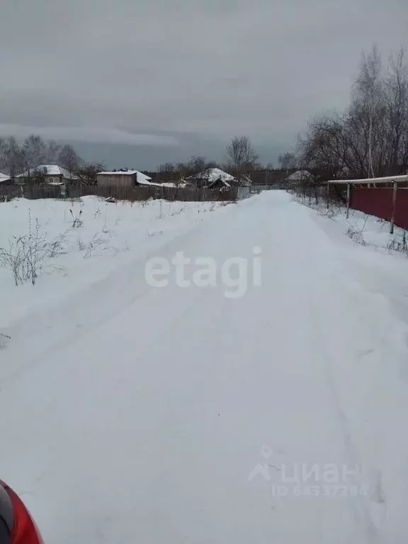 Участок в Нижегородская область, Выкса городской округ, Досчатое рп ... - Фото 1