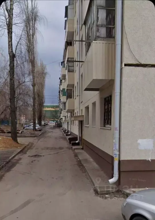 Комната Воронежская область, Воронеж Жигулевская ул., 30 (17.0 м) - Фото 1