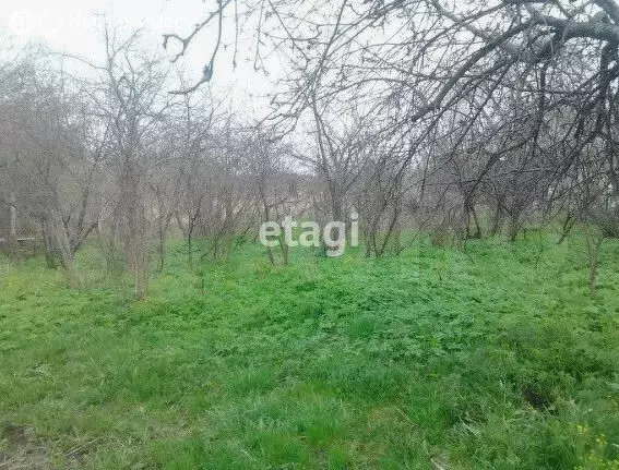 Участок в Юрьев-Польский район, муниципальное образование ... - Фото 0