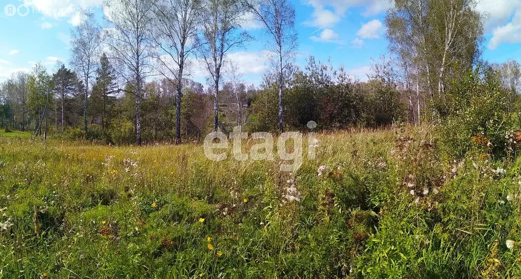 Участок в Барышевский сельсовет, садовое некоммерческое товарищество ... - Фото 0