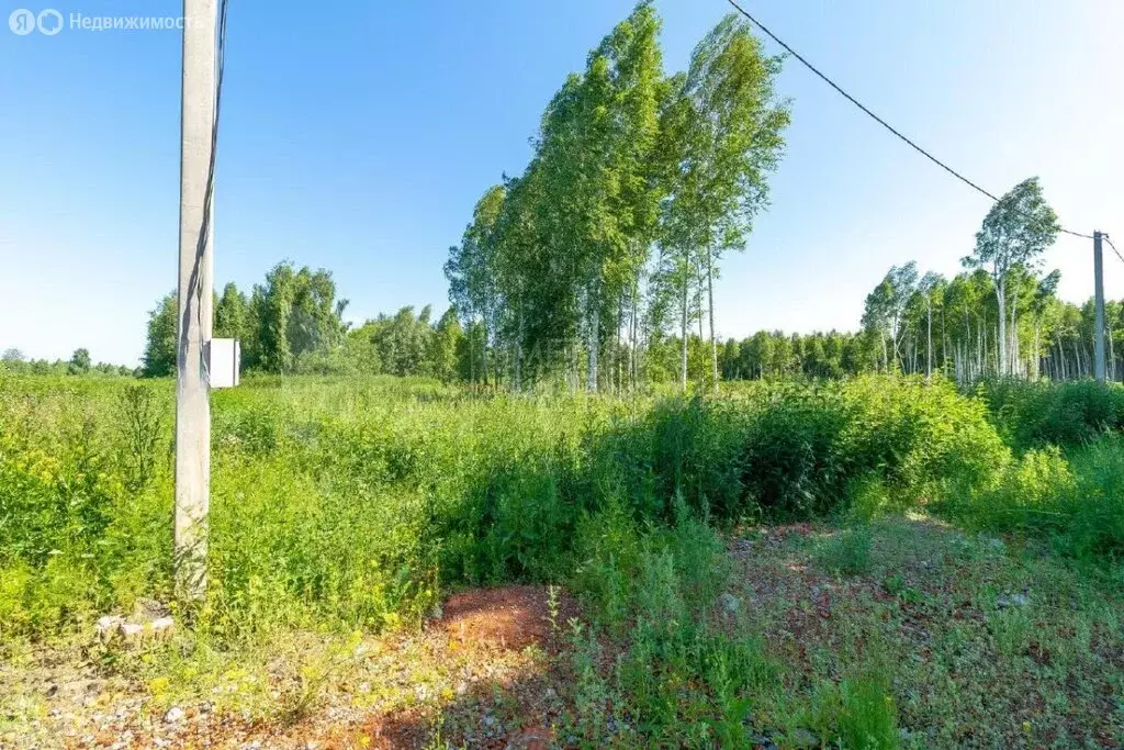 Участок в Тюменская область, Нижнетавдинский муниципальный округ, ТСН ... - Фото 1