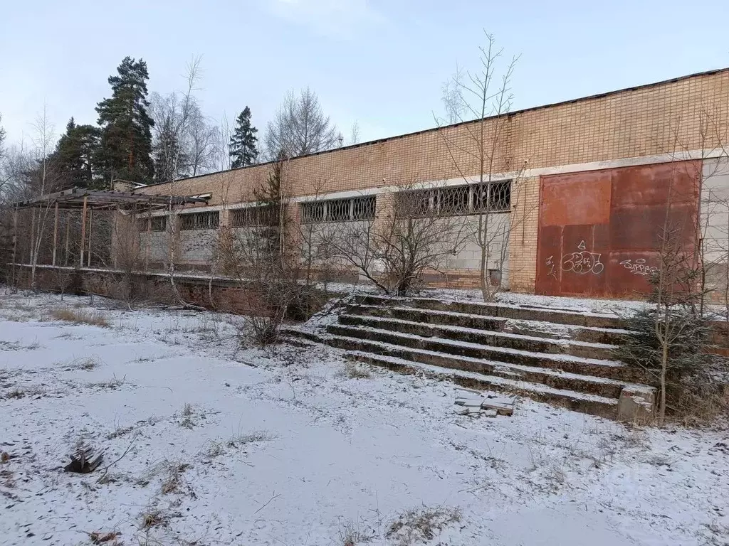 Склад в Московская область, Рузский муниципальный округ, Сосновый Бор ... - Фото 2