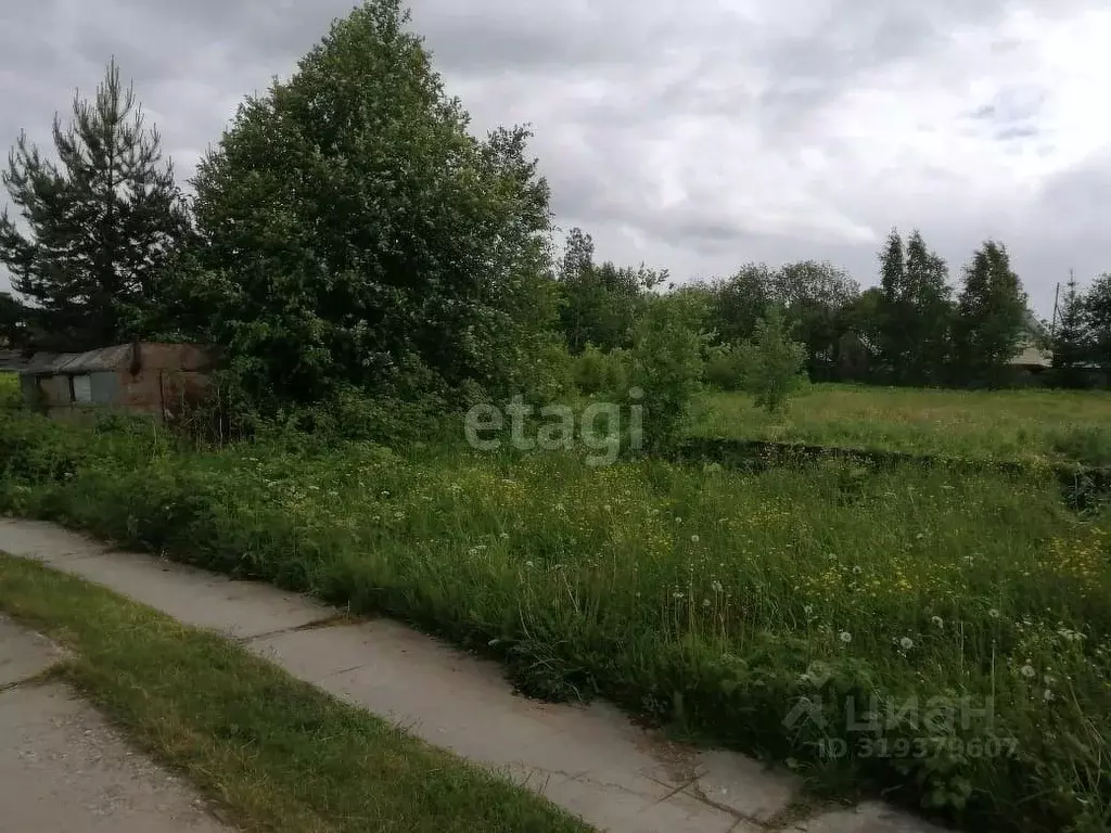 Участок в Коми, Сыктывдинский район, Зеленец муниципальное ... - Фото 2