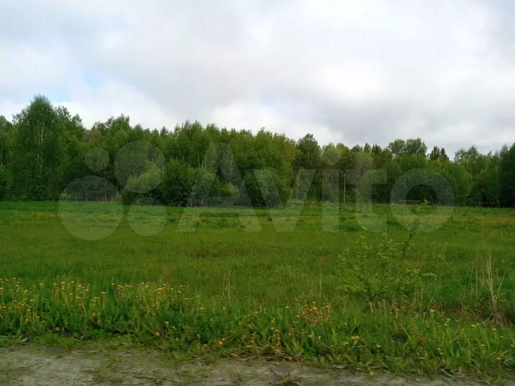 Участок 26,73 га (ИЖС) - Фото 0