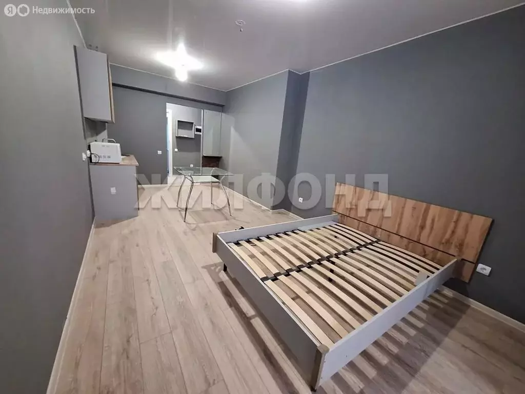 Квартира-студия: Абакан, улица Ивана Ярыгина, 33/1 (27.3 м) - Фото 2