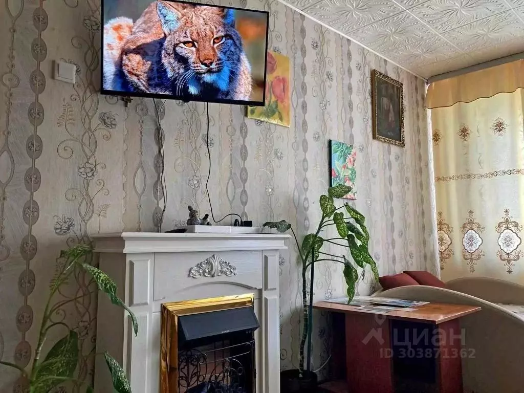 1-к кв. Новгородская область, Старая Русса ул. Гостинодворская, 22 ... - Фото 0