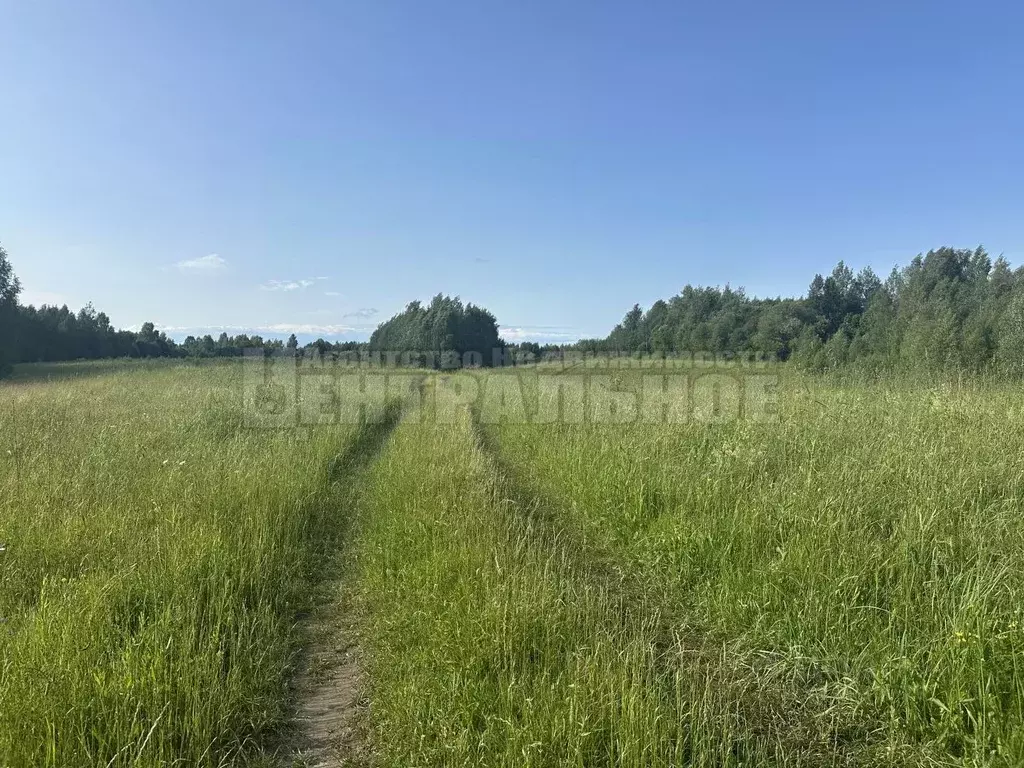 Участок в Смоленская область, Смоленский муниципальный округ, д. ... - Фото 1