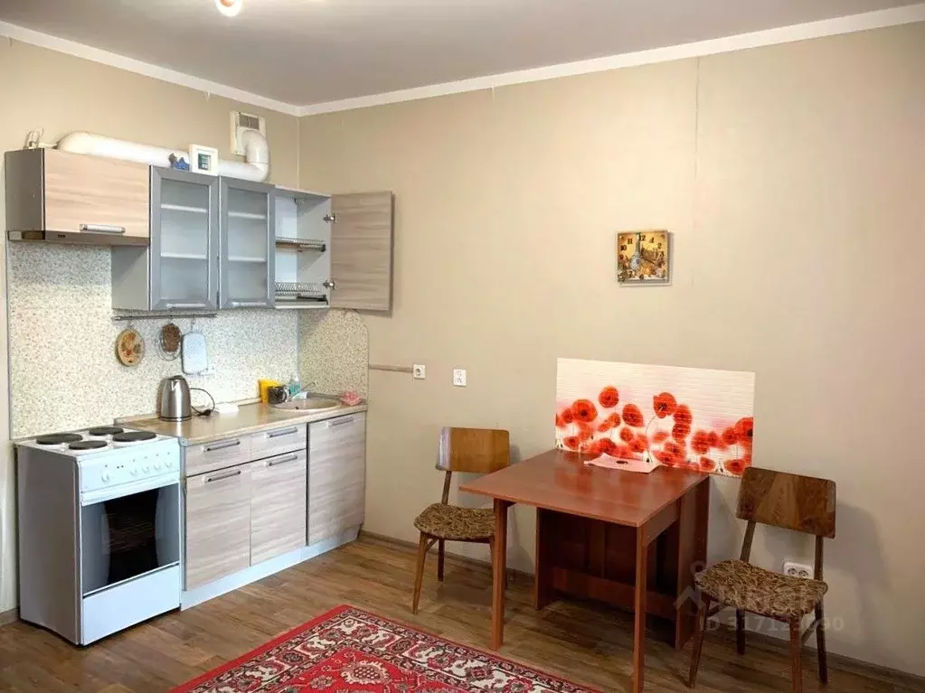 Студия Санкт-Петербург ул. Русановская, 17к1 (27.1 м) - Фото 0
