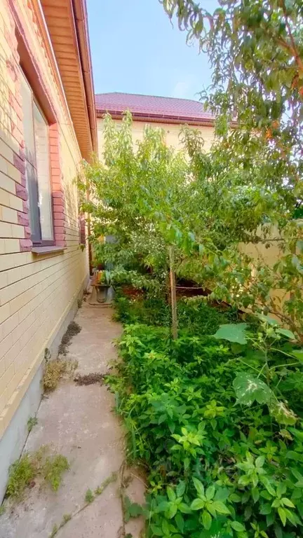 Дом в Краснодарский край, Анапа муниципальный округ, с. Супсех ул. ... - Фото 2