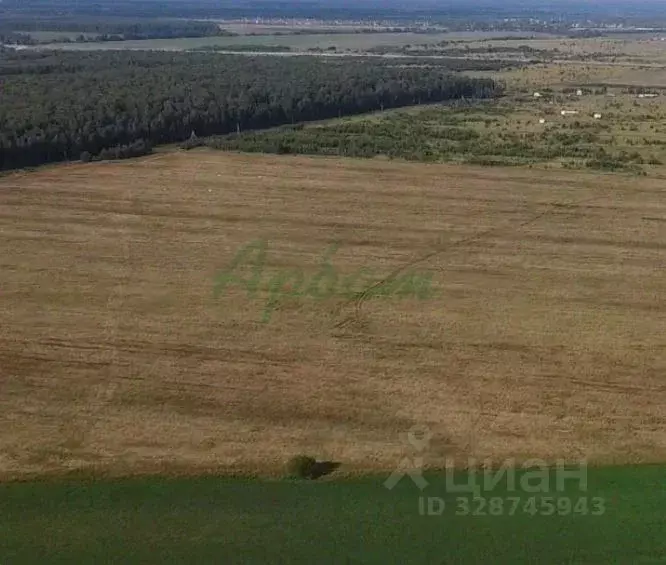 Участок в Московская область, Раменский муниципальный округ, ... - Фото 2