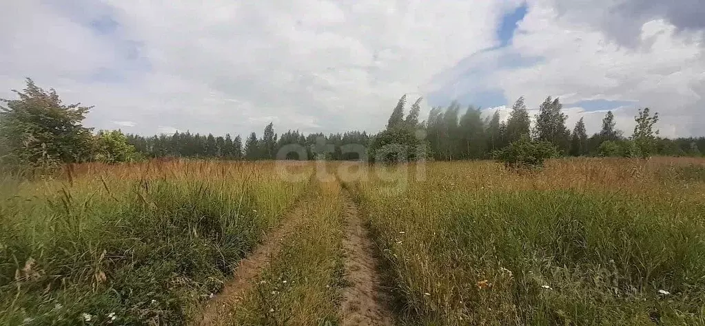 Участок в Мордовия, Кочкуровский район, Садовые участки  (9.0 сот.) - Фото 0