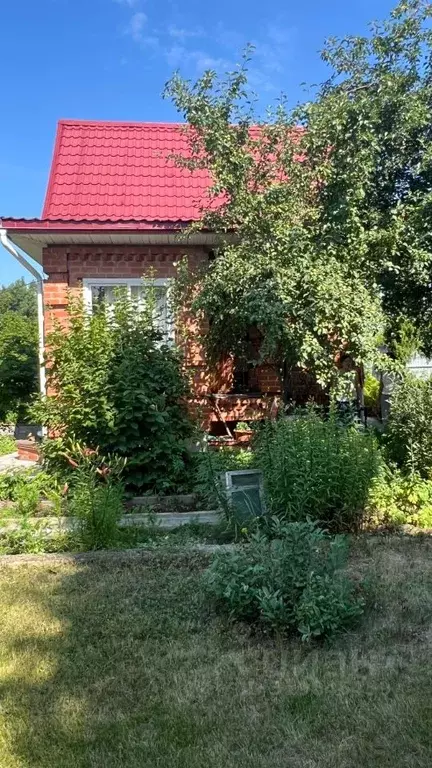 Дом в Омская область, Омский район, с. Розовка, Орбита СНТ аллея 8-я ... - Фото 1