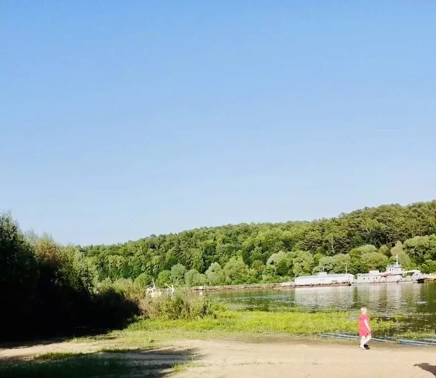 Участок в Калужская область, Тарусский муниципальный округ, Кузьмищево ... - Фото 2