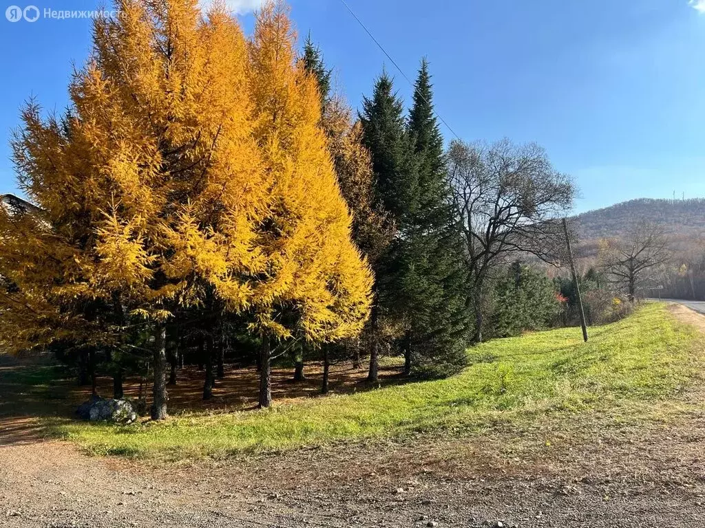 Дом в Приморский край, Анучинский муниципальный округ, село ... - Фото 1